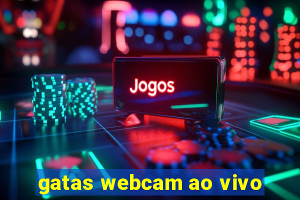 gatas webcam ao vivo